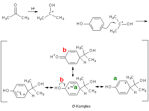 Reaktionsmechanismus