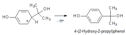 Reaktionsmechanismus