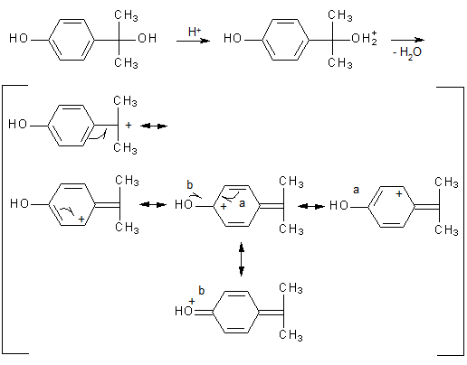 Reaktionsmechanismus